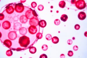 Hematology Quiz: WBC Histogram Analysis