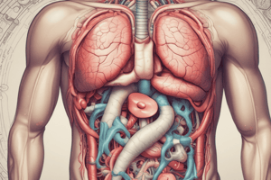 Digestive System and Related Disorders Quiz