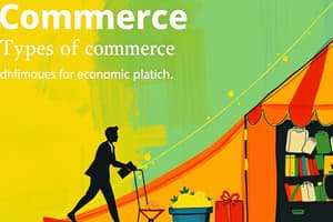 Commerce Overview Quiz