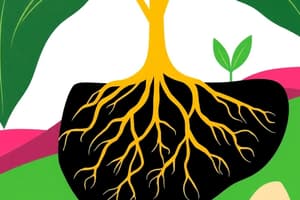 Plant Roots and Their Functions Quiz