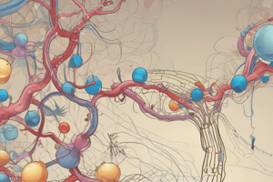 Protein Structure and Function