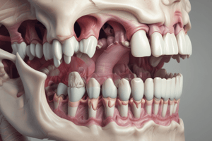 Human Anatomy: Lower Jaw and Teeth