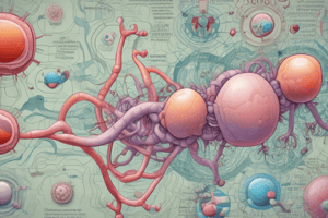 VLDL Metabolism and Function