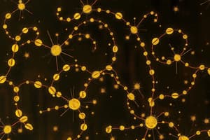 Chemical Bonding and Electronegativity