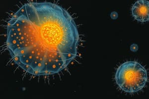 Protozoa: Microscopic Animalcules Quiz