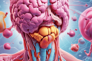 Endocrine System Disorders Quiz: Diabetes Mellitus and Insipidus