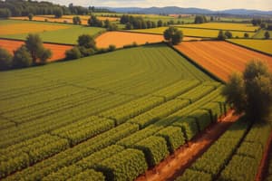 Sistemas de Cultivo y Economía Rural