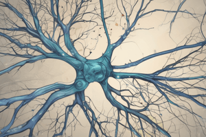 Y1S1 009 III Physiology Neuroscience I: Wallerian Degeneration and Regeneration