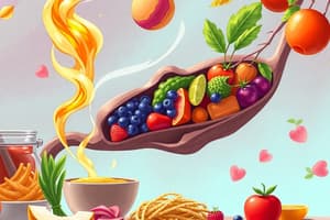 Nutrizione e Alimentazione