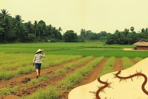 Agrarian Reform Policies in the Philippines