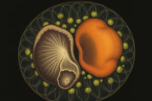 Cell Division and Reproduction Quiz