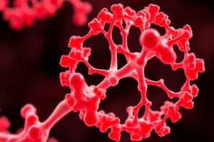 Metalloproteins and Heme Structures