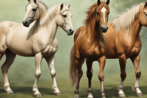 Horse Breeds and Colors