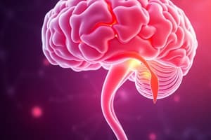 Hypothalamus and Pituitary Hormones Overview