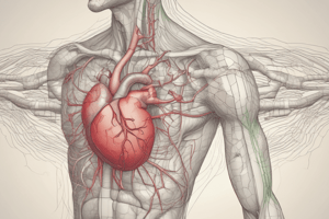 Cardiovascular System and Homeostasis