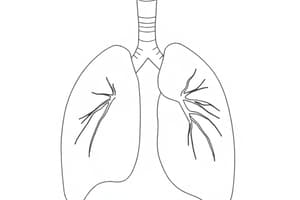 Fisiologia Polmonare e Pressione (Fisiologia 44)