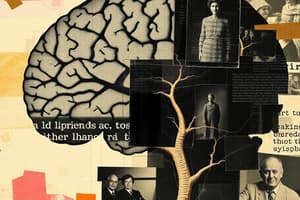 Ascending Pain Pathway & Cellular Mechanisms