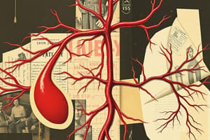 Circulatory System Overview