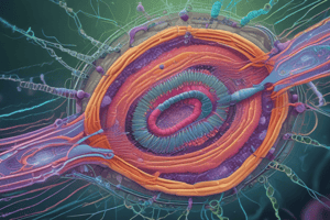 Cilia Structure and Composition