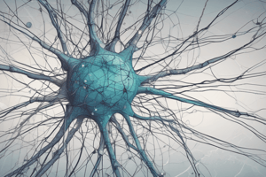 Introduction to Neuronal Networks