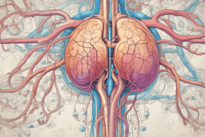 Renal Alterations Nursing Quiz