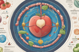 Food Biochemistry: Lipids Metabolism