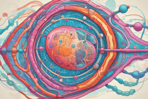 Eukaryotic Gene Control Region