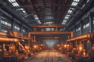 CH3-ICA-Steel Plant Products and Expansion Quiz