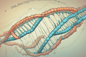 Arthur Kornberg's Discovery of DNA Polymerase I