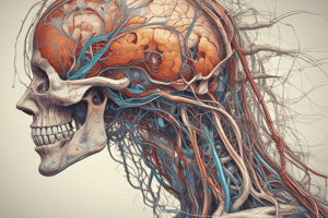 Gr 9 NATURAL SCIENCES: CH 1.2 The musculoskeletal system