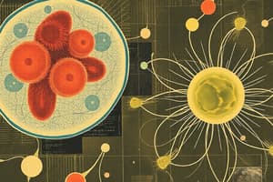 Cell Structure: Prokaryotic and Eukaryotic Cells