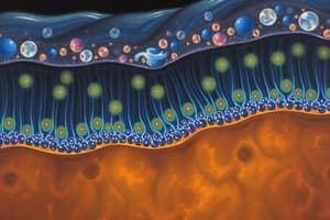 Cell Biology Quiz: Membrane Transport