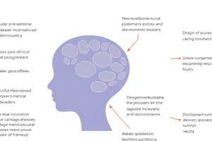 Neurobiologische Ontwikkelingsstoornissen Quiz