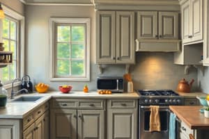 Kitchen Design Guidelines Quiz