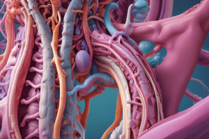 4.1 Gastrointestinal System Anatomy & General Principles Quiz