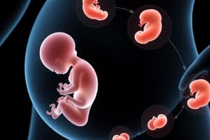 Fetal Development Stages Module 2.3