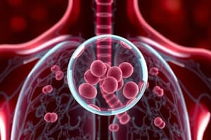 Respiratory System Quiz