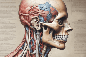 Homework 1: Motility