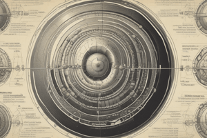 Human Development: Gastrulation Process