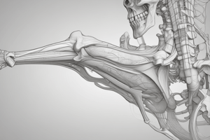 Arthrokinematics of the Pelvis