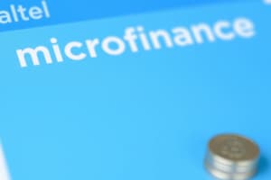 Microfinance in Vietnam Module 8