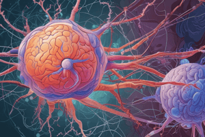 Signal Transduction in Neurons