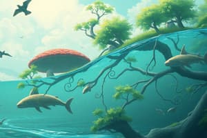 Ecology: Producers, Food Webs, and the Water Cycle
