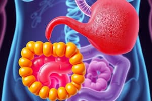 Digestion and Absorption of Lipids - DEM Y2