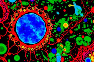 Cell Structure and Function Quiz