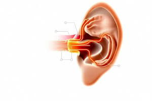 Hearing Pathway and Conduction Quiz