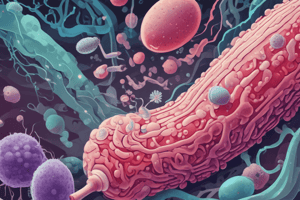 2.3 Mechanisms of Antibiotics Resistance