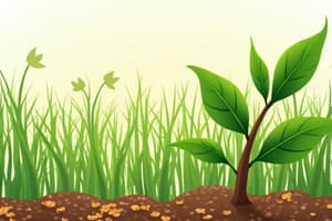 Plant Nutrition: Seeds and Food Security L10