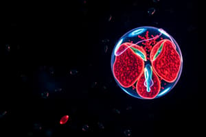 Cell Cycle and Mitosis Quiz