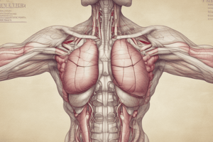 Histology of Endocrine glands (T&F)